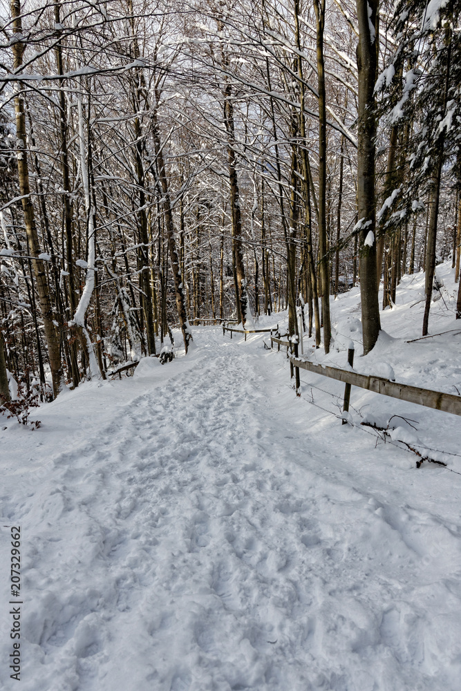 Winter in Bavaria - Schwangau..Winter in Bayern - Schwangau.