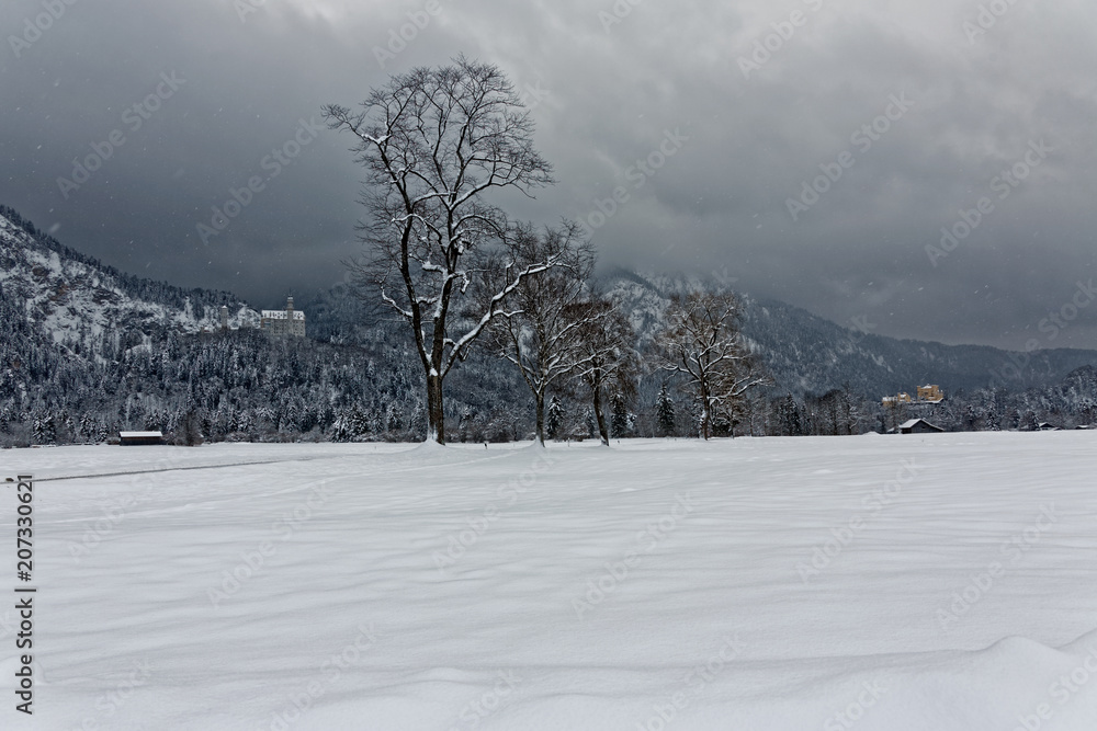 Winter in Bavaria - Schwangau - Neuschwanstein Castle. Winter in Bavaria - Schwangau - Neuschwanstein Castle.