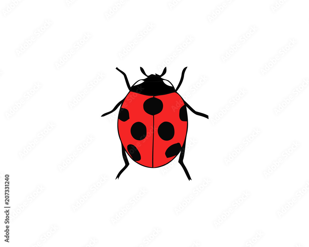 Ladybird on white background. Cute cartoon ladybug icon. Ladybird on white background. Cute cartoon ladybug icon.