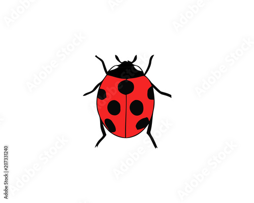 Ladybird on white background. Cute cartoon ladybug icon. © Roman's portfolio