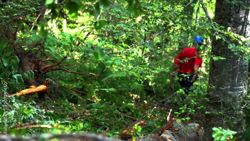 Worker drives a cable to pull the trees - (4K) Worker drives a cable to pull the trees - (4K)