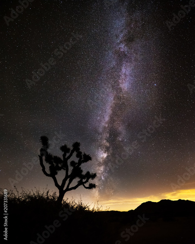 Joshua Tree Milkyway