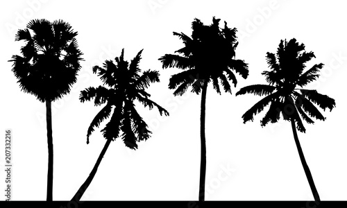 Vector set of detailed tropical palm trees silhouettes.