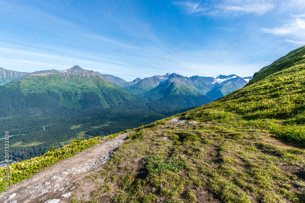 Fototapeta premium Alaska's Kenai Peninsula Mountain Hike
