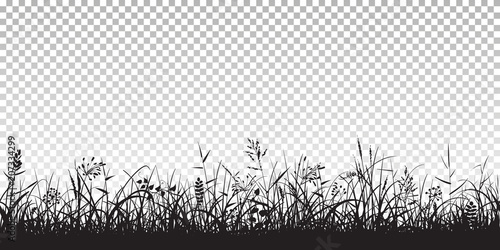 Obraz na plátně Black silhouettes of grass