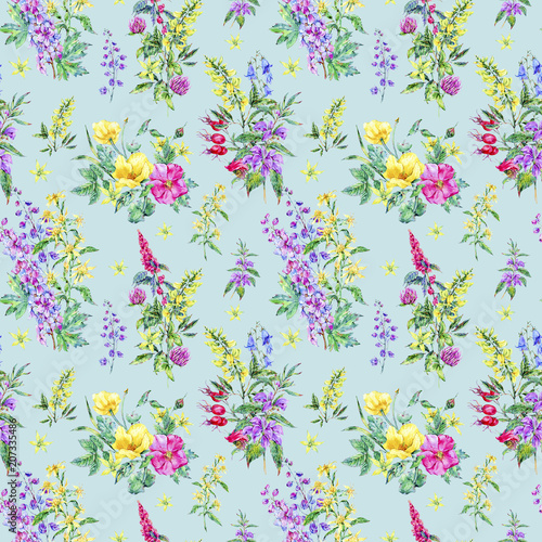 Watercolor summer seamless pattern of medicinal flowers 
