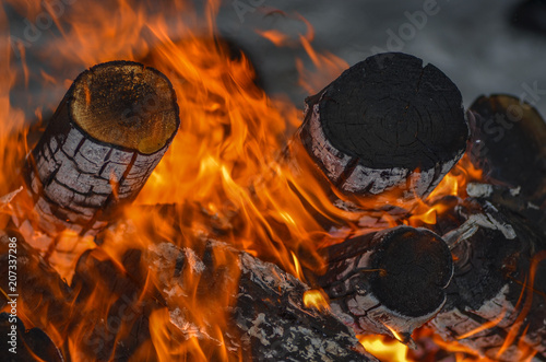 Burning bonfire. Burning firewood. The hot embers. photo