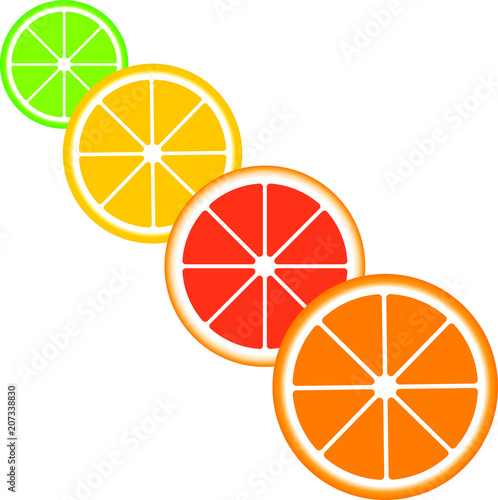 Citrus slices of lemon, orange, lime and grapefruit.