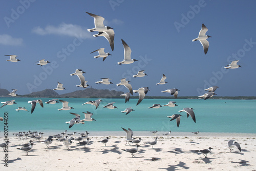 Los Roques Venezuela photo