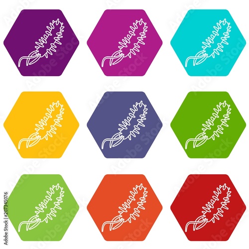 E coli bacteria icons 9 set coloful isolated on white for web