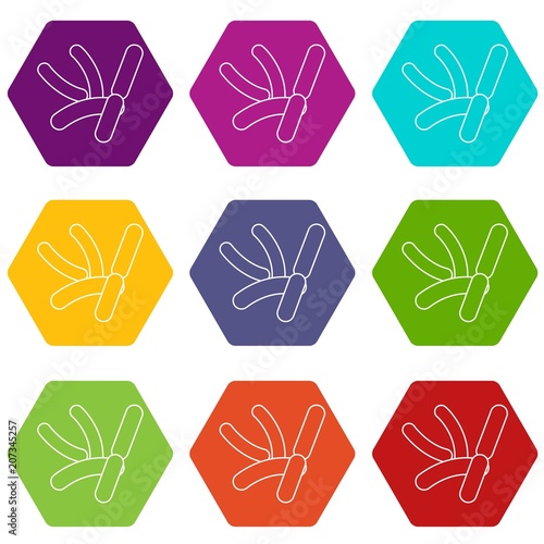 Bacilli icons 9 set coloful isolated on white for web