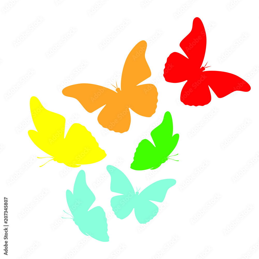 Butterflies Butterflies