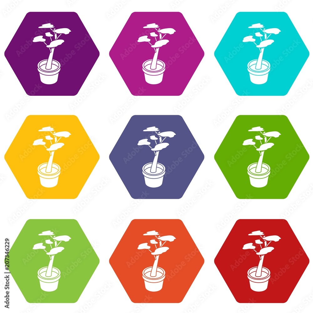 Office flower icons 9 set coloful isolated on white for web Office flower icons 9 set coloful isolated on white for web