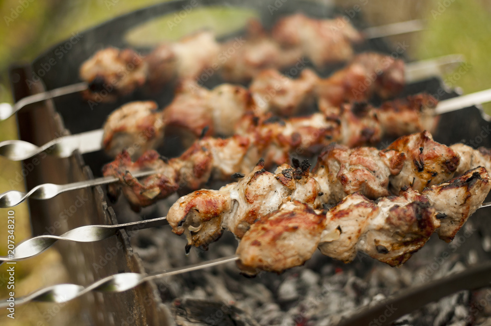 Traditional shish kebab on hot coals