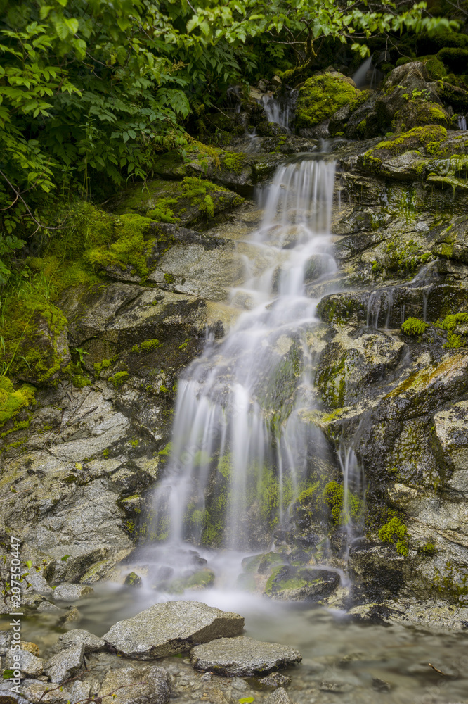 Waterfall Haynes Alaska