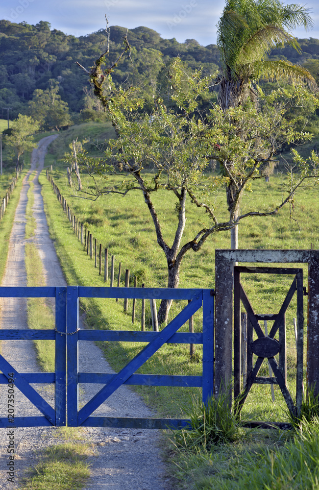 Blue farm gate with dirt road and trees