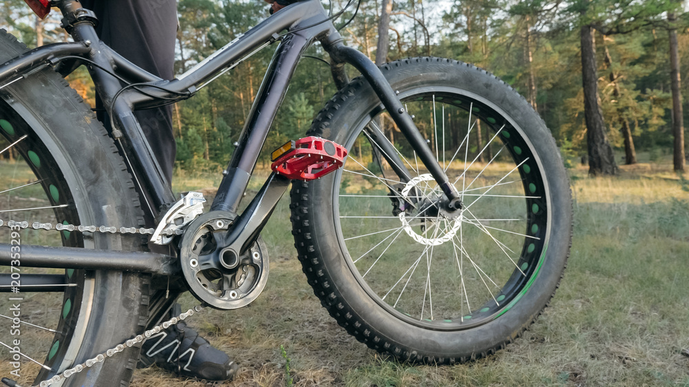 Fat bike also called fatbike or fat-tire bike in summer riding in the forest. The woman rides a bicycle among trees and stumps. He overcomes some obstacles on a bumpy road. Fat bike also called fatbike or fat-tire bike in summer riding in the forest. The woman rides a bicycle among trees and stumps. He overcomes some obstacles on a bumpy road.