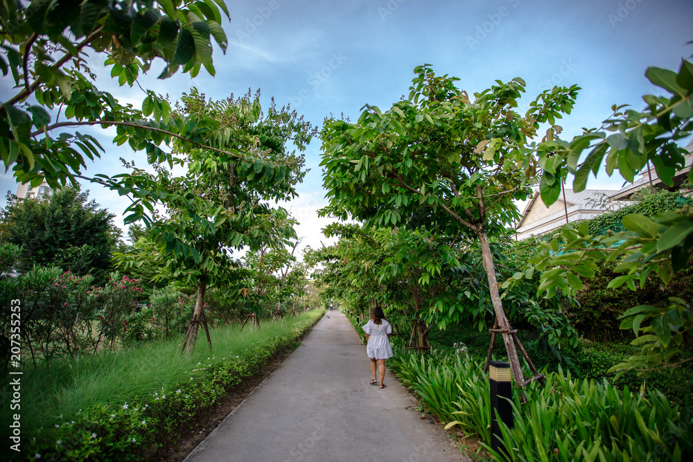 Female tourists Take a walk through the garden to the lodge (go sightseeing or go to work). Female tourists Take a walk through the garden to the lodge (go sightseeing or go to work).