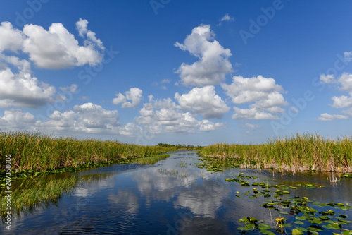 Everglades National Park - Florida photo