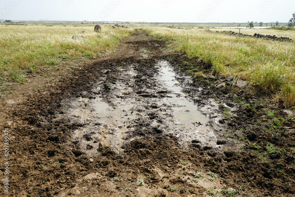 Wet dirt road