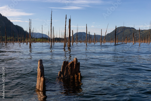 Striking view of Canadian Landscape during a beautiful morning. Taken in Stave Lake, East of Vancouver, British Columbia, Canada.