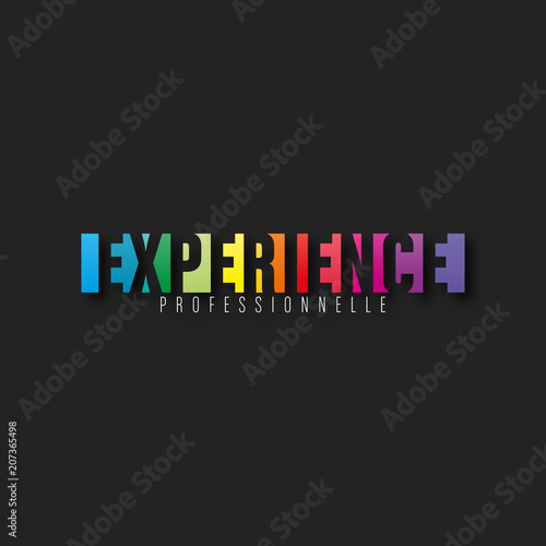 expérience professionnel