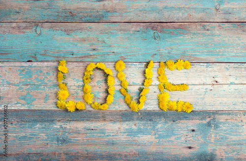 Fototapeta Naklejka Na Ścianę i Meble -  Word 