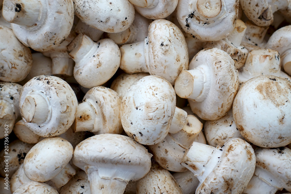 Pile of fresh champignons. Mushrooms as a background Pile of fresh champignons. Mushrooms as a background