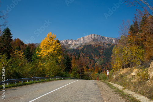 Golden autumn in the mountains of Adygea