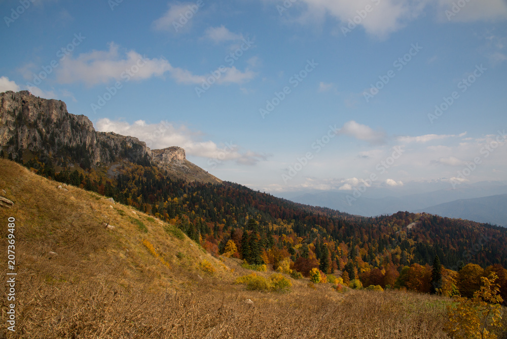 Golden autumn in the mountains of Adygea