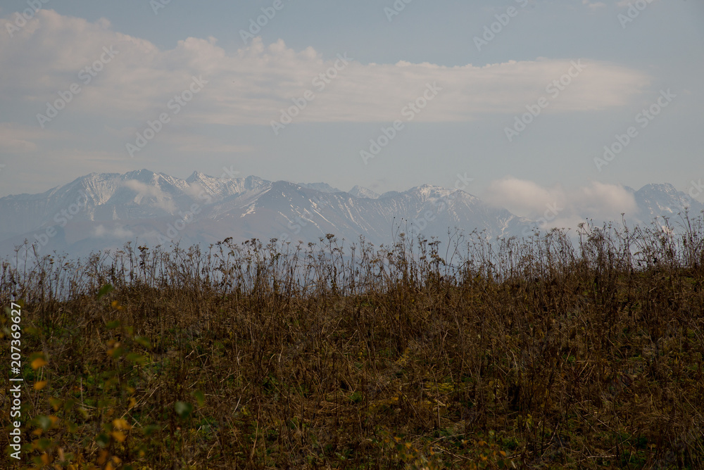 Fototapeta premium Golden autumn in the mountains of Adygea