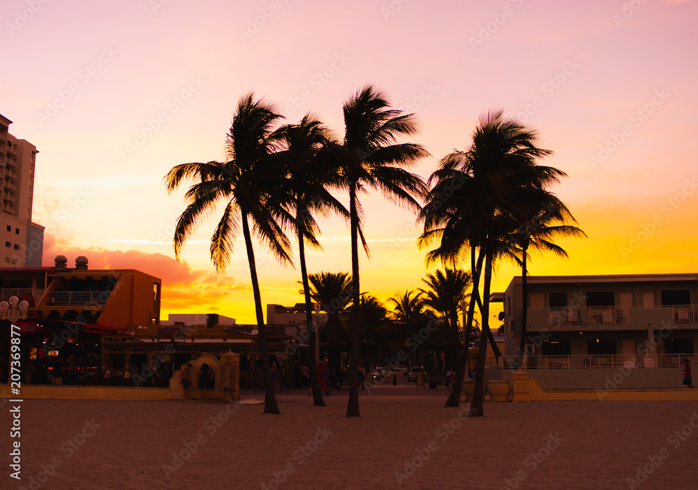 Fototapeta premium sunset palms 2
