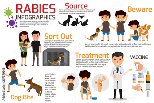 Rabies Infographics. Illustration of rabies describing symptoms and medications or vaccine. vector illustrations. photo
