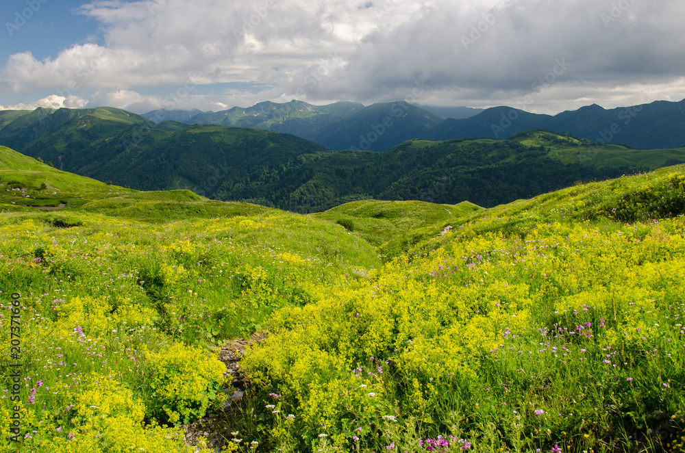 Majestic mountain landscapes of the Caucasian reserve