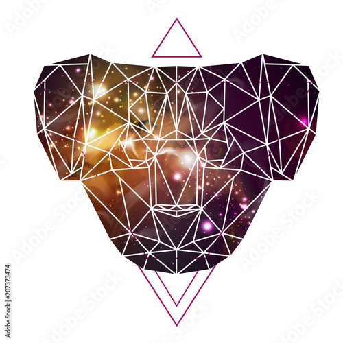 Abstract polygonal tirangle animal koala on open space background. Hipster animal illustration. photo