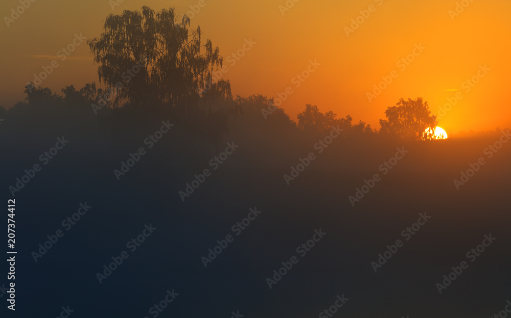 Naklejka premium Wiosenny Mglisty Wschód Śłońca