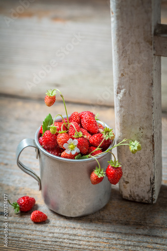 Tasty and sweet wild strawberries in the old metal mug