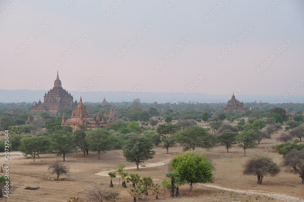Temple in Bagan Myanmar (Burma)