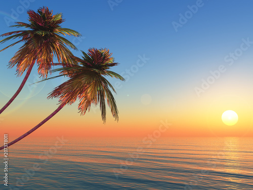 Palms island at sunset sea