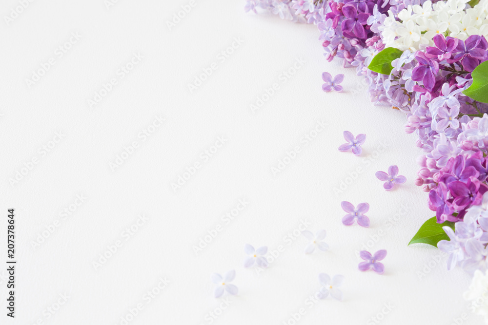Fresh branches of colorful lilac blossoms on white background. Soft light color. Greeting card. Mockup for positive ideas. Empty place for inspirational, emotional, sentimental text or quote.
