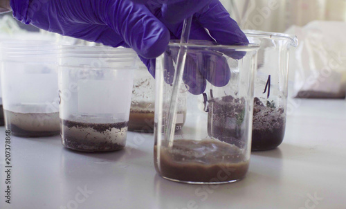 Close up hands of the scientist in laboratory mixing samples of the soil with water in the chemical beakers