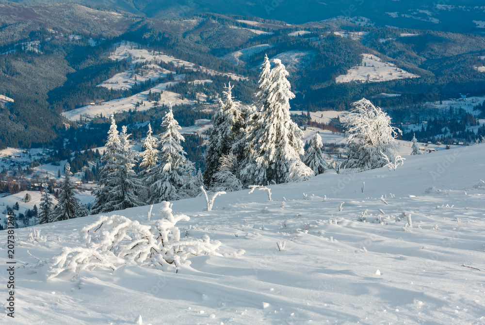 Fototapeta premium Winter mountain snowy landscape