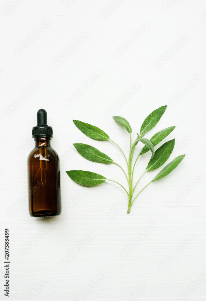 Sage essential oil with sage leaves on white  blackground. - obrazy, fototapety, plakaty 