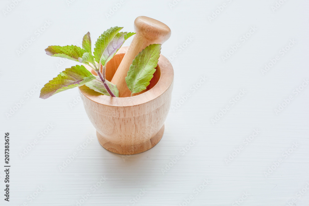 Holy Basil in wooden mortar on white. Holy Basil in wooden mortar on white.