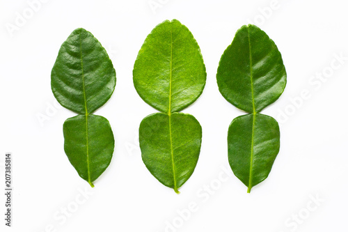 Bergamot kaffir lime leaves herb fresh ingredient isolated on white.