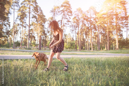 Girl in the dress runs with a playful dog in the park. Walking and playing with a dog in the woods. Active leisure and dog outdoors. photo