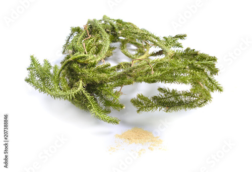 Dried medicinal herbs raw materials isolated on white. Plant with powder of Lycopodium clavatum photo