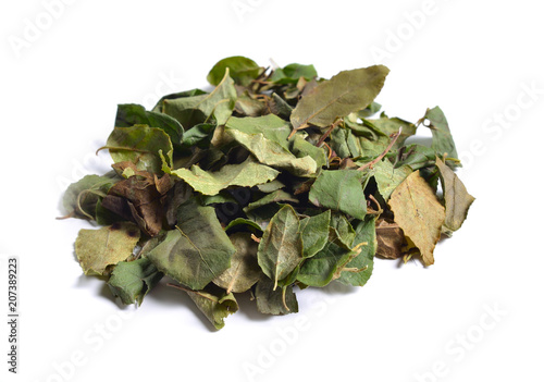 Dried medicinal herbs raw materials isolated on white. Leaves of Orthilia secunda