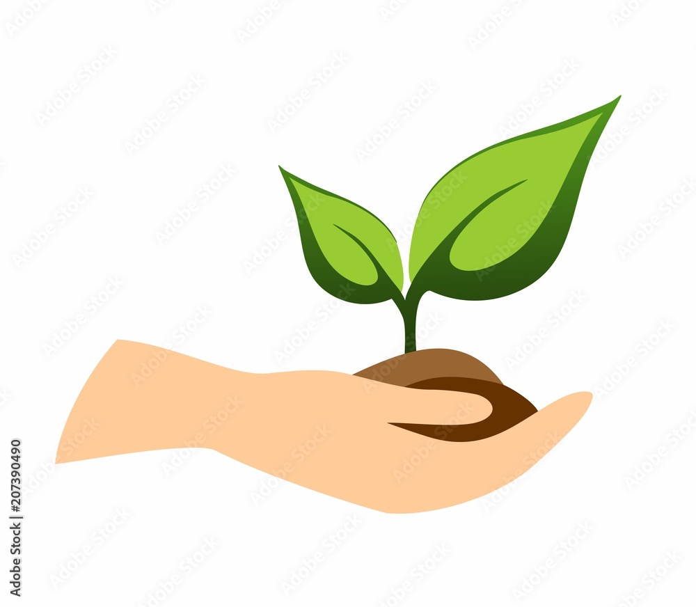 hand with green plant hand with green plant