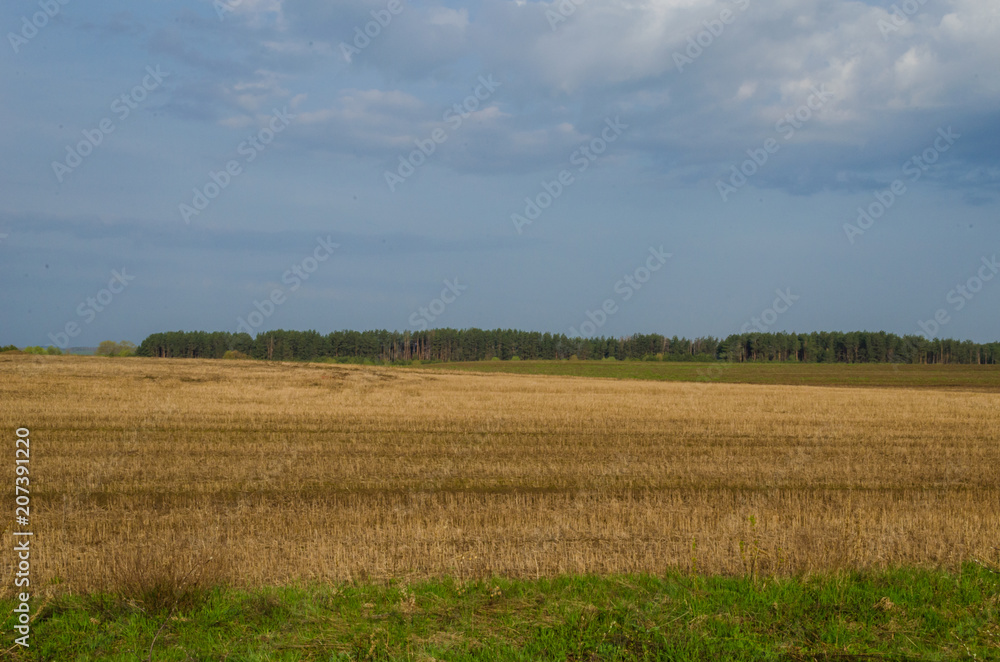 Spring field with untreated soil. Peyzazh.Selskaya unattractive to local fields Spring field with untreated soil. Peyzazh.Selskaya unattractive to local fields